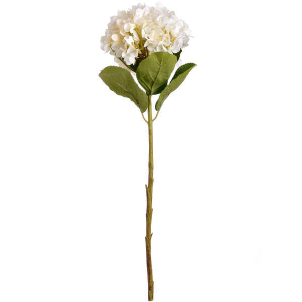 SET OF LARGE WHITE HYDRANGEAS