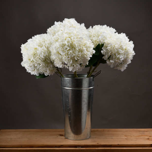 SET OF LARGE WHITE HYDRANGEAS