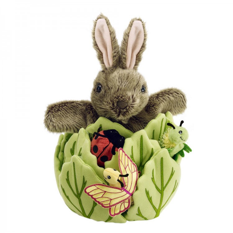 RABBIT IN A LETTUCE WITH FRIENDS HIDE-AWAYS SET